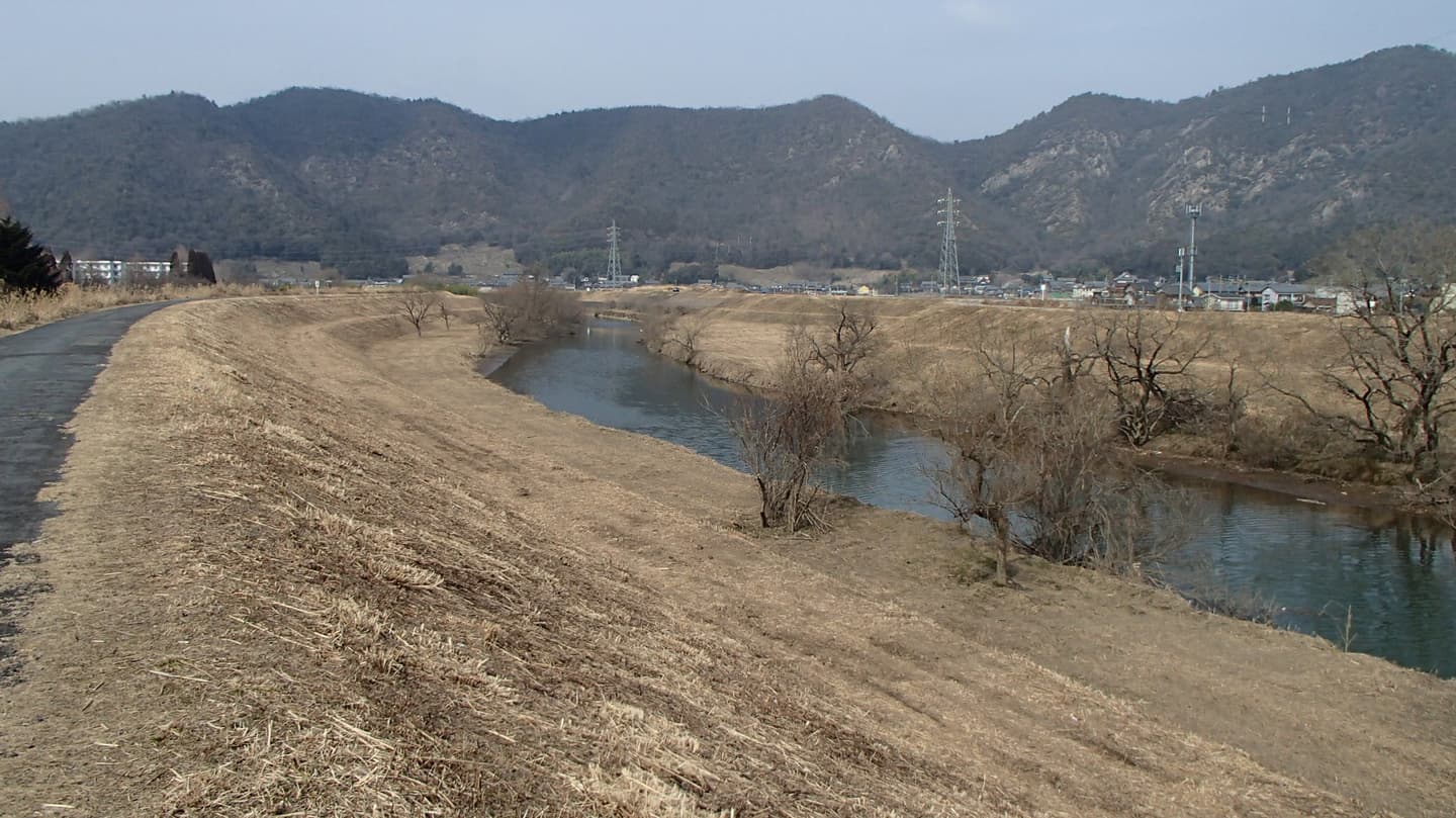 伊自良川（河道内伐採）